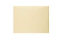 Quality Park, Document Envelopes, Gummed, Cameo Buff, 10x15, 100 per Box (54416)
