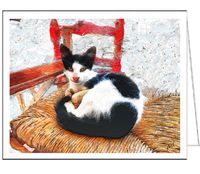 Cats of Greece - Sofia From Sifnos - Set of 6 Blank Notecards by Doggylips