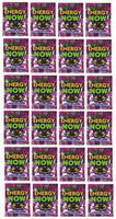 TJ 05 - Energy Now Ginkgo Biloba Herbal Concentration Supplement - 24 Packets / 3 Tablets Each