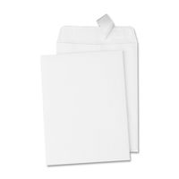 Quality Park, Catalog Envelope, Redi-Strip, White, 6x9, 100 per box (44182)