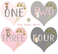 Mumsy Goose Baby Girl Monthly Stickers Heart Shaped Milestone Stickers for 1st Year Pink Grey Woodland