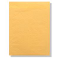 Sealed Air 39093 Jiffylite Self Seal Mailer, #2, 8 1/2 x 12, Golden Brown (Case of 100)
