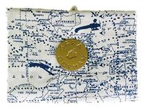 Stylish Weekly Pill Case | Travel Medication Organizer - Sara Gorman's Pillbags