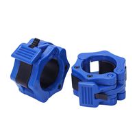 JVSISM 2Pcs Dumbbells Barbell Bar Spinlock Spring Collars Weight Lifting Clamps Training Clamp Weightlifting Gym Fitness Blue