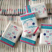 Toilet Seat Cushions Paper of 10 Sheets SFE 10 pcs Toilet Seat Covers Paper Travel Biodegradable Disposable Sanitary