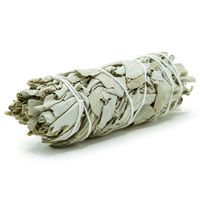 GloFX White Sage Bundle - 1 Pack - 4 Inches Wild Harvested California Smudge Stick Wand for Spiritual Incense Burning Aromatherapy Energy Cleansing Healing and Meditation