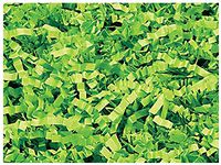 NWAMR-ZF10LM Lime Crinkle Cut Paper Shred 10 lb ~ Spring-fill Shred