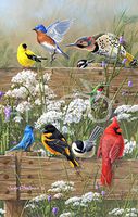 Hi-Look Microfiber Cleaning Cloth - Songbirds Menagerie
