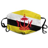 NUNOFOG Flag of Brunei Unisex Safety Masks Washable and Reusable Cleaning Gardening Dust Respirator Mouth Masks for Men Women One Size