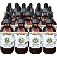 Bilberry Alcohol-Free Liquid Extract, Bilberry (Vaccinium Myrtillus) Dried Berry Glycerite Hawaii Pharm Natural Herbal Supplement 15x4 oz