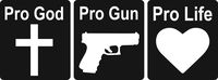 Pro God Pro Gun Pro Life Vinyl Sticker Decal 8"x3" (Black)
