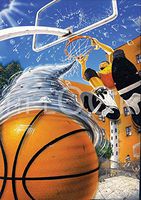 Hi-Look Microfiber Cleaning Cloth - Basketball