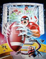 Hi-Look Microfiber Cleaning Cloth - Football