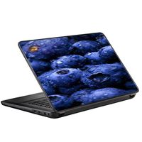 Protective Vinyl Skin Decal for HP 2000 Laptop (2013-14) 15.6" 15" cover sticker skins decals / Blueberry, Blue berries
