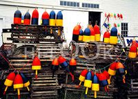 Hi-Look Microfiber Cleaning Cloth - Lobster Traps and Buoys, Maine