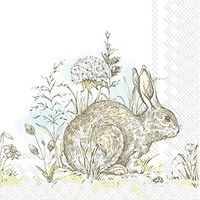 Celebrate the Home Easter 3-Ply Paper Luncheon Napkins, Easter Morning, 20-Count