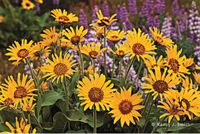 8-Pack Northwest Photographic Note Cards