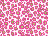 Verazui Wild cat Pack of 5 Animal Print Gift Grade Tissue Paper Sheets 15" x 20"