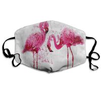 Face Mask Watercolor Pink Flamingo (2) Stylish Cycling Half Face Earloop Nose Mask for Boys
