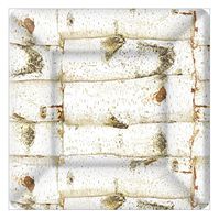 Boston International Square Paper Dessert Plates, 8-Count, 7 x 7-Inches, Birch