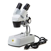 Swift S303 10X/30X Magnification Binocular Stereo Microscope with Wide-field 10X Eyepieces, Tungsten Lighting, Reversible Black/White Stage Plate, and Fixed Pillar Stand