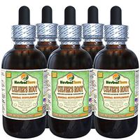 Culver's Root (Veronicastrum Virginicum) Glycerite, Organic Dried Root Alcohol-Free Liquid Extract (Brand Name: HerbalTerra, Proudly Made in USA) 5x2 fl.oz (5x60 ml)