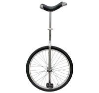 Fun 24 Inch Wheel Chrome Unicycle with Alloy Rim