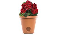 ION Planter Speaker Wireless Outdoor Speaker with Weather-Resistant Design and Integrated Drainage - Speakers - Retail Packaging - Clay