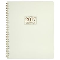 AT-A-GLANCE Weekly/Monthly Planner 2017, WorkStyle Take Chances, 8-1/2 x 11", Pistachio (WS503-905)