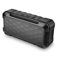 Coaste TWS Portable Outdoor Radio Bluetooth Speaker SoundBox with HD Stereo and Reich Bass, FM Radio, SD and TF Card for Travel Home and Outdoors