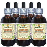 Culver's Root (Veronicastrum Virginicum) Tincture, Organic Dried Root Liquid Extract (Brand Name: HerbalTerra, Proudly Made in USA) 5x2 fl.oz (5x60 ml)