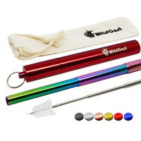 WildCart | Collapsible Straw With Storage Case & Cleaning Brush | Portable | Reusable | Telescopic | Stainless Steel | Eco Friendly