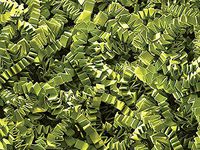 Green Tea Crinkle Cut Paper Shred 10 lb Box ~ Spring-fill Shred - WRAPS-ZF10GT