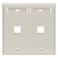 Leviton 42080-2TP 2-Port Dual Gang QuickPort Wallplate with ID Windows, Light Almond