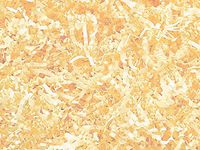 Crinkle Paper Shred for Packaging Gift Box/Basket Filler 2-Ounce Bag (French Vanilla)