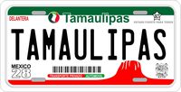 Tamaulipas Mexico Placas License Plate