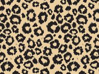 Cakesupplyshop Packaged 24ct Leopard Tissue Paper 20" X 30"