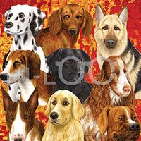 Hi-Look Microfiber Cleaning Cloth - Dogs on Red