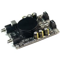 Sure Electronics WONDOM 2 X 50Watt Class D Audio Amplifier Board - TPA3116 Stereo For Bird Repellent