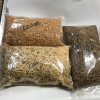 10 Oz Pine Wood Chips Medium Coarse Flavored with Walnut Essential Oil Blend