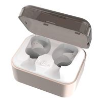 AMORNO Wireless Earbuds Replacement Charging case (Gold)