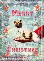Pug Puppy Boxed Christmas Cards
