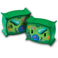 Learning Resources Cross-Section Plant Cell Model, Plant Anatomy, Science Classroom Accessories, 2 Foam Pieces, Ages 7+