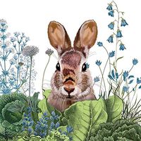 Paper Products Design, Napkin Beverage Chou Chou Bunny