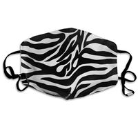 Zebra Stripe Dust Mask,Washable and Reusable Cleaning Gardening Outdoor Activities Warm Windproof Mask