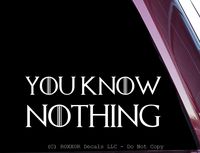 ROXXOR Decals You Know Nothing - Funny! - Precision-Cut Vinyl Decal/Sticker (not Printed) (White)