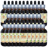 Ginger (Zingiber Officinale) Tincture, Organic Dried Root Liquid Extract (Brand Name: HerbalTerra, Proudly Made in USA) 30x2 fl.oz (30x60 ml)