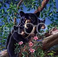 Hi-Look Microfiber Cleaning Cloth - Bear Rose