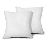 EDOW Throw Pillow Inserts, Set of 2 Lightweight Down Alternative Polyester Pillow, Couch Cushion, Sham Stuffer, Machine Washable. (White, 20x20)