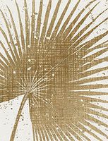 Design Design Natural Fern Boxed Note Cards 20 Count 118-07824